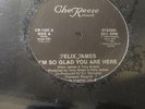 FELIX JAMES I’m So Glad You Are Here 12” Single Cher Reese Rare Funk Soul SEALED