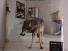 GRINDERMAN 2-2010 VINYL LP WITH BOOKLET POSTER AND CD-NEW/MINT.