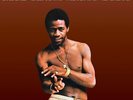Al Green - Greatest Hits (White Vinyl) Vinyl LP NEU 09550930