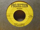 The Remaining Few-Projection 45-Wait a While-Super Rare Psych Garage 45-Clean