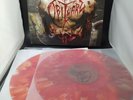OBITUARY Inked In Blood 2LP Color Vinyl