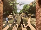 The Beatles Facsimile Signed Abbey Road Record Album