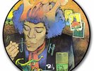 Jimi Hendrix – Are You Experienced, Vinyl,picture disc,promo,l.e.