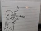 TNT by Tortoise (Record, 2012)