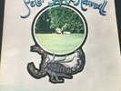 PETER HAMMILL- CHAMELEON IN THE SHADOW OF THE NIGHT - ORIGINAL VINYL ALBUM.