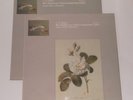OLS 133 & OLS 134 JS Bach Six Suites For Unaccompanied Cello Jean-Max Clement