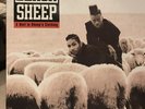 Black Sheep A Wolf In Sheeps Clothing Hip Hop Vinyl Lp 1991