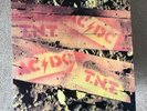 AC/DC AUSTRALIAN TNT GREEN VINYL RECORD