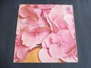Still Life - Same 1971 GERMANY LP VERTIGO SWIRL 1st PROG/PSYCH