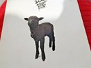 Skyhooks. Straight in a Gay, Gay World. Mushroom, 1976