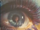 Scott Walker. Scott 3, 1969 EX