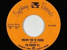 Doo-Wop Teen 45 - Rockin' R's - Walkin' You To School - Stepheny - VG++ mp3