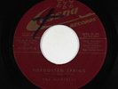 Doo-Wop/R&B 45 - Martells - Forgotten Spring/Va Va Voom - Cessna - VG+ mp3