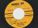 DOOWOP R&B bw ROCKER 45 - FIVE MASTERS - WE ARE LIKE ONE - HEAR -1959 BUMBLE BEE