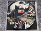 WASP 