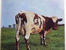 PINK FLOYD ATOM HEART MOTHER ODEON OP80102 JAPAN VINYL LP