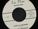 OHIO UNTOUCHABLES: love is amazing / forgive me darling LU PINE 7
