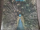 The LA4 Pavane Pour Une Infante Defunte - 1977 EW 10003 - Latin Jazz - East Wind