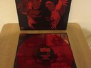 VINYL: BROILERS - PURO AMOR - LIMITED 1st PRESSING ROTES VINYL Punk Oi