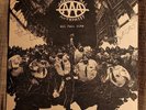 AGAINST ALL AUTHORITY ALL FALL DOWN LP VINYL PUNK ROCK SKA OLD SCHOOL 