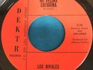 LOS RIVALES Mi Vecina Catarina / Monterrey RARE LATIN 45 on DEKTR SCOTTSDALE AZ