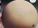 Egg - The Civil Surface / Caroline Records C1510 1974 / pretty rare in USA / VG+