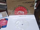 The Last Resort Violence in our Minds  7 inch single TEST PRESSING only 4 copies