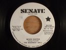 The Basement Wall  Never Existed/Taste Of A Kiss Promo RARE  Fuzz Garage, Psych