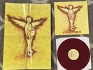 Nirvana: In Utero, in Tribute by Various Artists ￼RED Vinyl LP (New/Opened) RSD