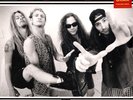 ALICE IN CHAINS Live at Oakland Coliseum 1992 12