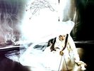 Lene Lovich - Flex LP Coloured Vinyl (VG/VG) .*