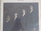 Vinyl The Beatles Johnny and the Moondogs Silver Days Lp Warwick M16051 - 1981