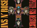 Guns N' Roses Appetite for Destruction (Vinyl) 12