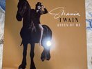 Shania Twain Queen of Me D2C Exclusive Gold Leopard Picture Disc Color Vinyl LP