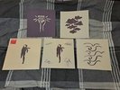 Ride Weather Diaries limited edition red vinyl  2017 still sealed rare signed