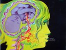 The Keith Tippett Group - Dedicated To You, But You Weren't Listening, LP, Alb