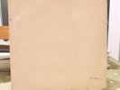 The Beatles White Album Vinyl UK Mono 1st press top loader