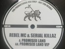 Damien Marley Nas Rebel MC Serial Killaz - Promised Land Drum and Bass Vinyl VG+