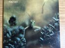 STEELY DAN: Katy Lied US ABC ABCD-846 OG Jazz Rock Vinyl LP NM