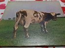 PINK FLOYD  ATOMIC MOTHER HEART ALBUM   HARVEST LABEL G VG