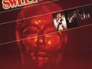 The Sweet Identity Crisis NEAR MINT Polydor Vinyl LP