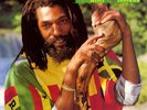 Don Carlos Deeply Concerned NEAR MINT Real Authentic Sound Vinyl LP