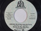 Sweet Soul 45 SHIRLEY & THE SHIRELLES Never Give You Up / Go Away on Bell promo