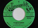 Reggae/Soul 45 CYNTHIA RICHARDS Clean Up Woman / Jungle Fever on Treasure Isle