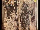 Marvin Gaye: Here, My Dear 2x LP Vinyl '78 OG SEALED Vintage Store Stock MINT/NM