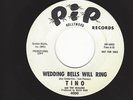 TINO & THE REVLONS- 