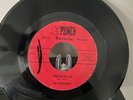 The Henchmen 45 Punch Record 1960's Garage Rock Detroit MI Please Tell Me/Livin'