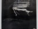 BILL EVANS UNDERCURRENT UNITED ARTISTS LAX3112 JAPAN VINYL LP
