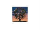 Talk Talk Laughing Stock (Vinyl) 12