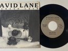 David Lane & Crash Crew 